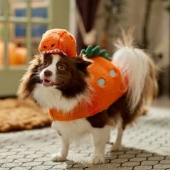 Frisco Furry Dinosaur Dog & Cat Costume 14 Frisco Furry Dinosaur Dog & Cat Costume -Pet Dog Shop 708190 PT7. AC SS1800 V1689278373