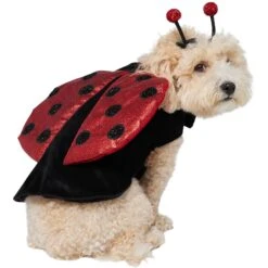 Frisco Glittered Ladybug Dog & Cat Costume 12 Frisco Glittered Ladybug Dog & Cat Costume -Pet Dog Shop 708254 PT3. AC SS1800 V1689350986