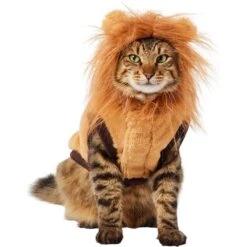 Frisco Lion Love Dog & Cat Costume 11 Frisco Lion Love Dog & Cat Costume -Pet Dog Shop 708318 PT2. AC SS1800 V1689341486