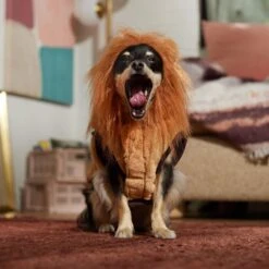 Frisco Lion Love Dog & Cat Costume 16 Frisco Lion Love Dog & Cat Costume -Pet Dog Shop 708318 PT7. AC SS1800 V1689350649