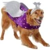 Frisco Shooting Stars Dog & Cat Costume