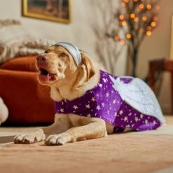 Frisco Shooting Stars Dog & Cat Costume 14 Frisco Shooting Stars Dog & Cat Costume -Pet Dog Shop 708614 PT7. AC SS1800 V1689278699