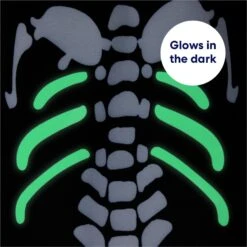 Frisco Glow In The Dark Skeleton Dog & Cat Costume 13 Frisco Glow In The Dark Skeleton Dog & Cat Costume -Pet Dog Shop 709038 PT5. AC SS1800 V1689340910