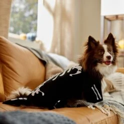 Frisco Glow In The Dark Skeleton Dog & Cat Costume 14 Frisco Glow In The Dark Skeleton Dog & Cat Costume -Pet Dog Shop 709038 PT7. AC SS1800 V1689350988