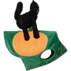 Frisco Pumpkin Cat Ride-On Dog & Cat Costume -Pet Dog Shop 709294 PT4. AC SS1800 V1689270836
