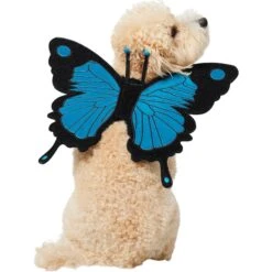 Frisco Magical Butterfly Wings Dog & Cat Costume Accessory