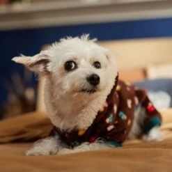 Frisco Cozy Plush Fleece Dog & Cat PJs, Mushrooms 14 Frisco Cozy Plush Fleece Dog & Cat PJs, Mushrooms -Pet Dog Shop 718950 PT7. AC SS1800 V1692378098