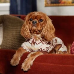 Frisco Fairisle Cozy Plush Fleece Dog & Cat PJs, Cream 14 Frisco Fairisle Cozy Plush Fleece Dog & Cat PJs, Cream -Pet Dog Shop 719006 PT7. AC SS1800 V1692376367