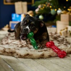 Frisco Holiday Naughty & Nice TPR Bone Squeaky Dog Toy 7 Frisco Holiday Naughty & Nice TPR Bone Squeaky Dog Toy -Pet Dog Shop 739702 PT3. AC SS1800 V1694812786