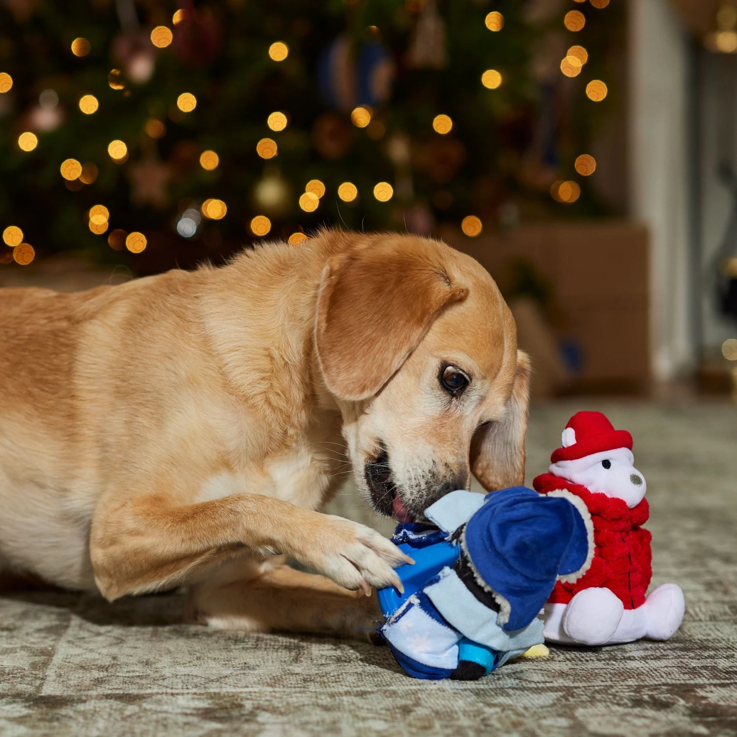Frisco Holiday Arctic Buddies 2-in-1 Rip For Surprise Plush & Rubber Dog Toy 4 Frisco Holiday Arctic Buddies 2-in-1 Rip For Surprise Plush & Rubber Dog Toy - Image 4