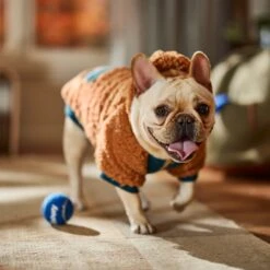 Frisco Wubby Textured Fleece Dog & Cat Hoodie W/ Pocket 16 Frisco Wubby Textured Fleece Dog & Cat Hoodie W/ Pocket -Pet Dog Shop 742510 PT7. AC SS1800 V1692377765