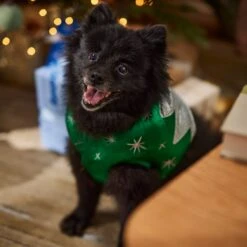 Frisco Ornament Dog & Cat Costume -Pet Dog Shop 745510 PT7. AC SS1800 V1694795535