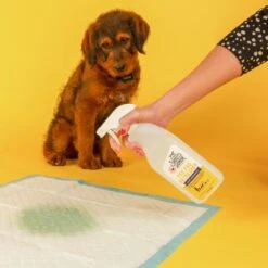 Skout's Honor Dog Pee Pad Refresher Spray, 28-oz Bottle & Frisco Washable Dog Potty Pads 13 Skout's Honor Dog Pee Pad Refresher Spray, 28-oz Bottle & Frisco Washable Dog Potty Pads -Pet Dog Shop 772958 PT4. AC SS1800 V1676749044