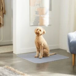 Skout's Honor Dog Pee Pad Refresher Spray, 28-oz Bottle & Frisco Washable Dog Potty Pads 17 Skout's Honor Dog Pee Pad Refresher Spray, 28-oz Bottle & Frisco Washable Dog Potty Pads -Pet Dog Shop 772958 PT8. AC SS1800 V1676752183