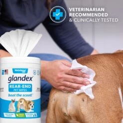 Vetnique Labs Glandex Wipes Rear End Anal Gland Cleansing & Deodorizing Hygienic Rear End Boot The Scoot Dog & Cat Wipes & Frisco Disposable Male Dog Wraps 13 Vetnique Labs Glandex Wipes Rear End Anal Gland Cleansing & Deodorizing Hygienic Rear End Boot The Scoot Dog & Cat Wipes & Frisco Disposable Male Dog Wraps -Pet Dog Shop 826454 PT4. AC SS1800 V1682018155