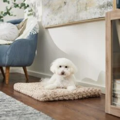 Frisco Double Door Furniture Style Dog Crate, Black & Frisco Swirl Dog Crate Mat 14 Frisco Double Door Furniture Style Dog Crate, Black & Frisco Swirl Dog Crate Mat -Pet Dog Shop 947710 PT5. AC SS1800 V1693921603