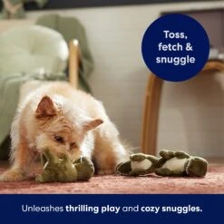 Frisco Volcano Hide & Seek Puzzle Plush Squeaky Dog Toy Refills, 3 Count & Frisco Volcano Hide & Seek Puzzle Plush Squeaky Dog Toy -Pet Dog Shop 962078 PT4. AC SS1800 V1694782978