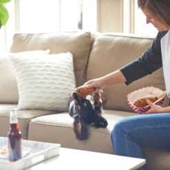 Frisco Corndog Interactive Plush Squeaky Dog Toy & Frisco Guacamole Hide & Seek Puzzle Plush Squeaky Dog Toy -Pet Dog Shop 962086 PT3. AC SS1800 V1694782979