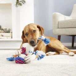 Frisco Holiday Snowman Plush With Rope Squeaky Dog Toy & Frisco Holiday Reindeer Plush With Rope Squeaky Dog Toy 13 Frisco Holiday Snowman Plush With Rope Squeaky Dog Toy & Frisco Holiday Reindeer Plush With Rope Squeaky Dog Toy -Pet Dog Shop 986174 PT4. AC SS1800 V1698258345