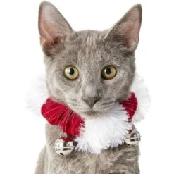 Frisco Holiday Dog & Cat Santa Hat, 1 Count & Frisco Jingle Bells Dog & Cat Holiday Collar With Bells, 1 Count -Pet Dog Shop 986254 PT6. AC SS1800 V1698258115