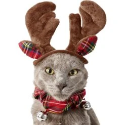 Frisco Jingle Bells Dog & Cat Holiday Collar With Bells, 1 Count & Frisco Holiday Antler Headband & Bell Collar Dog & Cat Costume 15 Frisco Jingle Bells Dog & Cat Holiday Collar With Bells, 1 Count & Frisco Holiday Antler Headband & Bell Collar Dog & Cat Costume -Pet Dog Shop 986294 PT6. AC SS1800 V1698257736