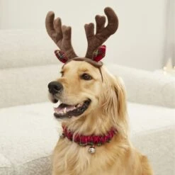 Frisco Jingle Bells Dog & Cat Holiday Collar With Bells, 1 Count & Frisco Holiday Antler Headband & Bell Collar Dog & Cat Costume 16 Frisco Jingle Bells Dog & Cat Holiday Collar With Bells, 1 Count & Frisco Holiday Antler Headband & Bell Collar Dog & Cat Costume -Pet Dog Shop 986294 PT7. AC SS1800 V1698258404